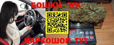 крисы Кунгур