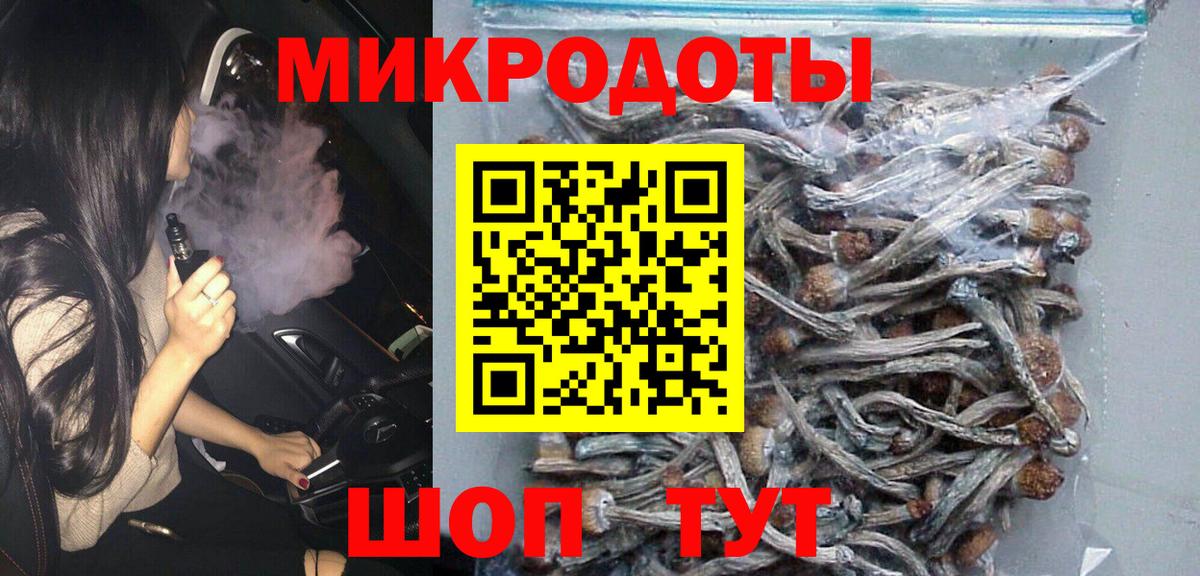 Псилоцибиновые грибы GOLDEN TEACHER Заводоуковск