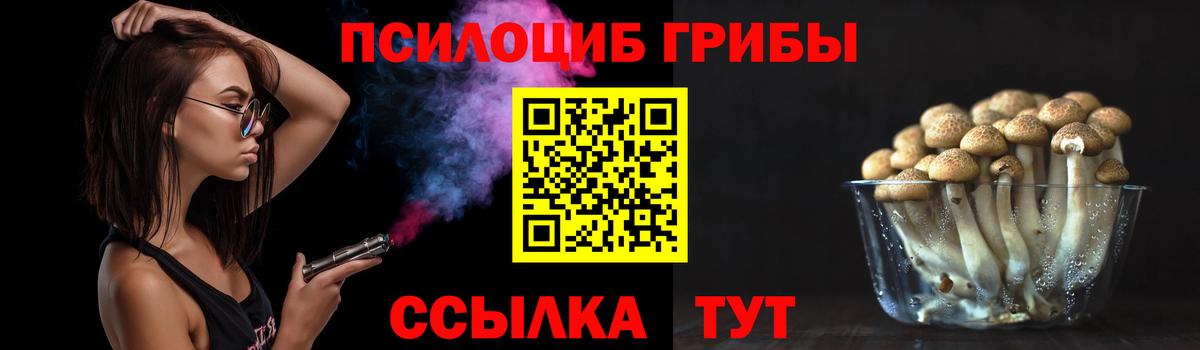 Псилоцибиновые грибы ЛСД  Галлюциногенные грибы Psilocybe  Вход с VPN  Заводоуковск 